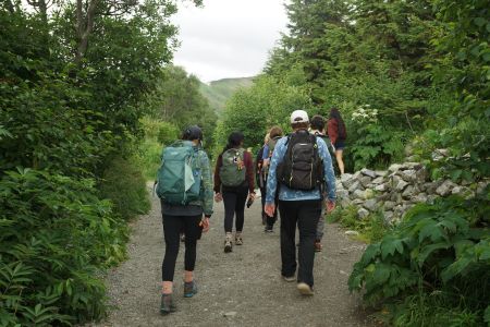 students hiking on an Alaskan trail surrounded by lush vegetation