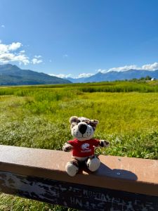 Plush USA Jaguar sittin on a railing with the Alaskan mountains in the background