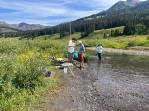 students standing in a Colorado stream taking samples with mountains in the background