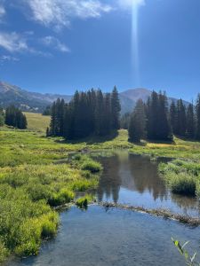 Clear stream surrounded by meadow with evergreen trees and the Rocky Mountains in the background
