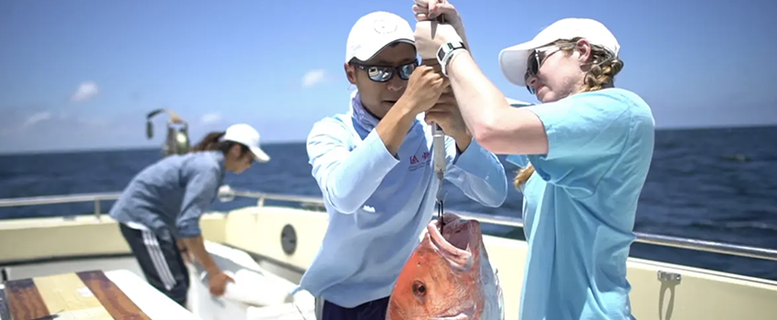 Two people weighing a fish on a boat.