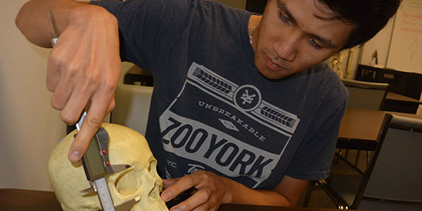 Student working on skull with a tool. Student working on skull with a tool.