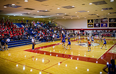 Volleybal game