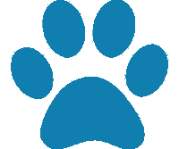 Light Blue Pawprint