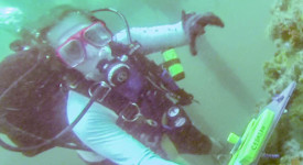 Alison Robertson and Robert Sobol received a 2016 RSDG award for their work on ciguatera toxins. In the photo, Jessica Gwinn, a Ph.D. student at South, samples herbivorous fish and algae on a rig south of Dauphin Island in July 2018. Gwinn's work was part of an international research project on ciguatera led by the University of South Alabama.